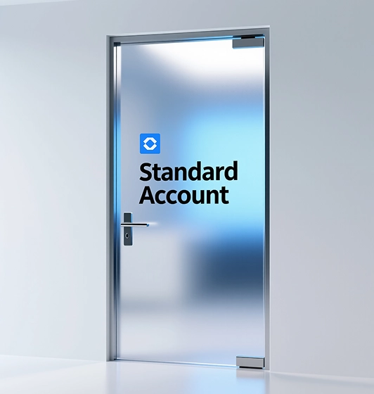 Key Features of the Standard Account